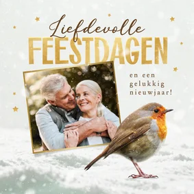 Kerstkaart roodborstje foto fijne feestdagen sneeuw 