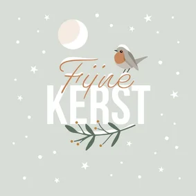 Kerstkaart roodborstje in de winter