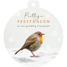 Kerstkaart roodborstje kerstbal winter sneeuwvlokken kerst