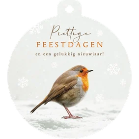 Kerstkaart roodborstje kerstbal winter sneeuwvlokken kerst
