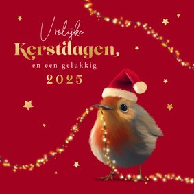 Kerstkaart roodborstje lampjes sterretjes goud kerstmuts