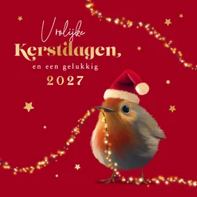Kerstkaart roodborstje lampjes sterretjes goud kerstmuts