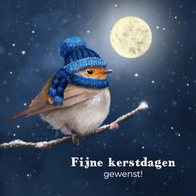 Kerstkaart roodborstje met muts in de sneeuw