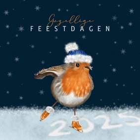 Kerstkaart roodborstje met muts op schaatsen