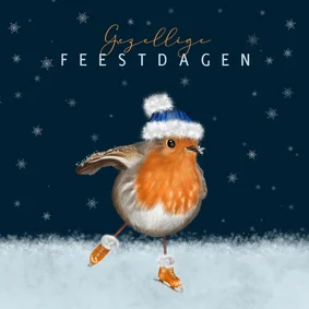 Kerstkaart roodborstje met muts op schaatsen