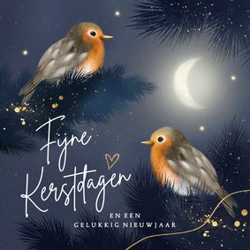 Kerstkaart roodborstje nacht maan goud blauw