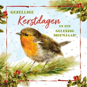 Kerstkaart roodborstje op tak in sneeuw