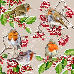 Kerstkaart roodborstjes in de winter op takjes