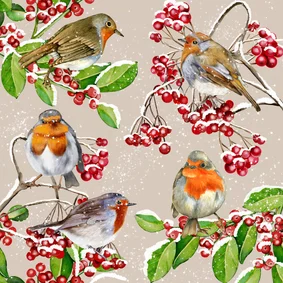 Kerstkaart roodborstjes in de winter op takjes
