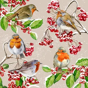 Kerstkaart roodborstjes in de winter op takjes