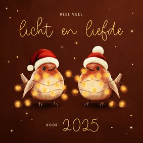 Kerstkaart roodborstjes met lampjes licht en liefde