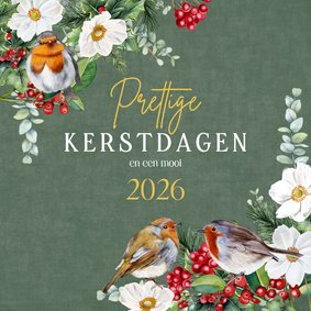 Kerstkaart roodborstjes op groen fluweellook