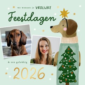 Kerstkaart teckel kerstboom sterren en foto's jaartal