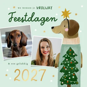 Kerstkaart teckel kerstboom sterren en foto's jaartal