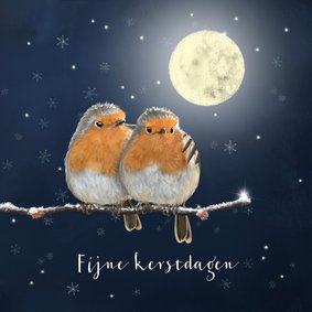 Kerstkaart twee roodborstjes op besneeuwde tak