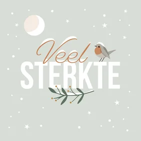 Kerstkaart 'Veel sterkte' roodborstje in de sneeuw