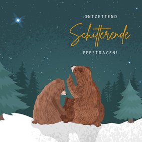 Kerstkaart voor eerste kerst samen met illustratie van beren