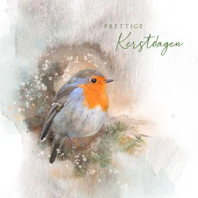 Kerstkaart waterverf roodborst met dennetakken