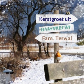 Kerstkaart winters park