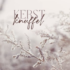 Kerstkaartje kerstknuffel met winterfoto takjes paars