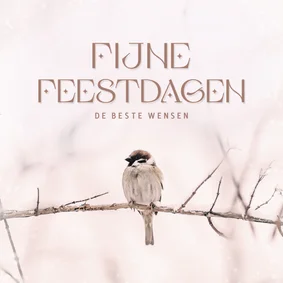Kerstkaartje met foto van vogeltje in de sneeuw