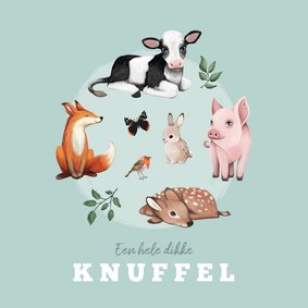 Kinderkaart dieren dikke knuffel boerderijdieren 