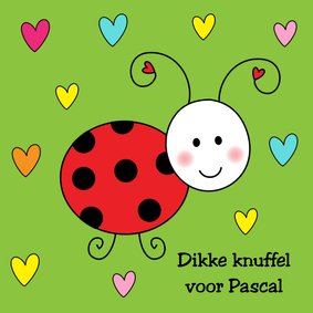 Kinderkaart Lieveheersbeestje groen