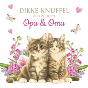 Kittens en bloemen dikke knuffel voor opa en oma