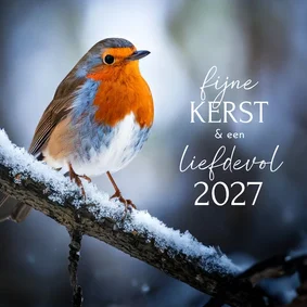 Klassieke kerstkaart met mooie foto roodborstje