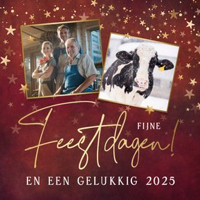 Klassieke rode zakelijke kerstkaart met sterren en foto's