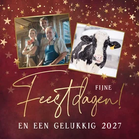 Klassieke rode zakelijke kerstkaart met sterren en foto's