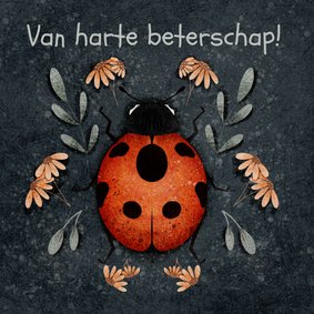 Kleurrijke beterschapskaart met lieveheersbeestje