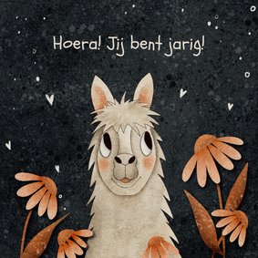 Kleurrijke felicitatiekaart lama en donkere textuur