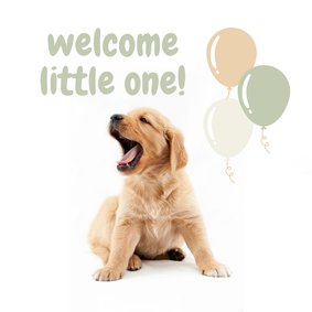 KNGF Geleidehond felicitatiekaart welcome little one