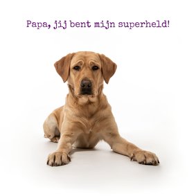 KNGF Geleidehond vaderdagkaart jij bent mijn superheld