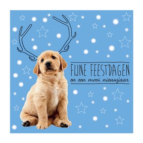 KNGF kerstkaart met puppy en gewei