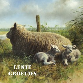 Kunstkaart met schapen in Nederlands landschap