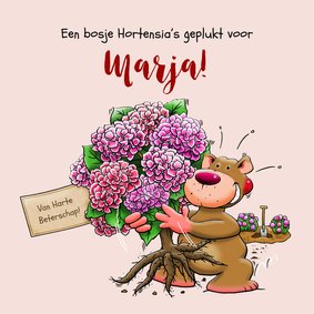 Leuke beterschapskaart met beertje en Hortensia