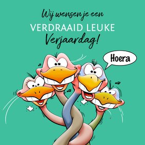 Leuke verjaardagskaart met 4 verdraaid leuke struisvogels