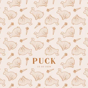 Lief beige geboortekaartje met konijntjes patroon