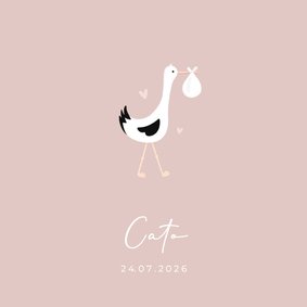 Lief en hip geboortekaartje met illustratie van een ooievaar