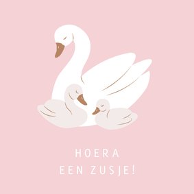 Lief felicitatiekaartje babyzwaantjes voor een zusje