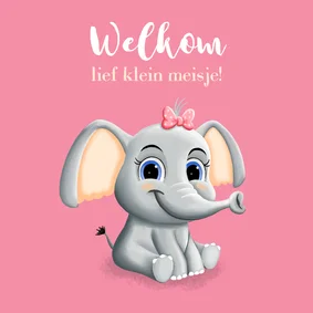 Lief felicitatiekaartje dochtertje met schattig olifantje