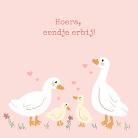 Lief felicitatiekaartje geboorte zusje met eendjes roze