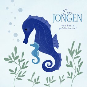 Lief felicitatiekaartje met zeepaardjes voor een jongen