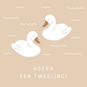 Lief felicitatiekaartje met zwaantjes voor een tweeling