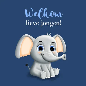 Lief felicitatiekaartje zoontje met schattig olifantje