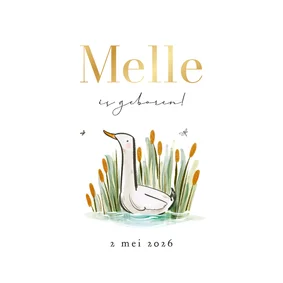 Lief geboortekaartje illustratie gans riet libelle