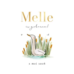 Lief geboortekaartje illustratie gans riet libelle