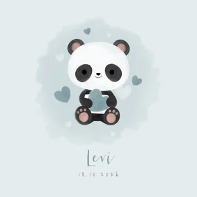 Lief geboortekaartje jongen met panda, hartjes en waterverf